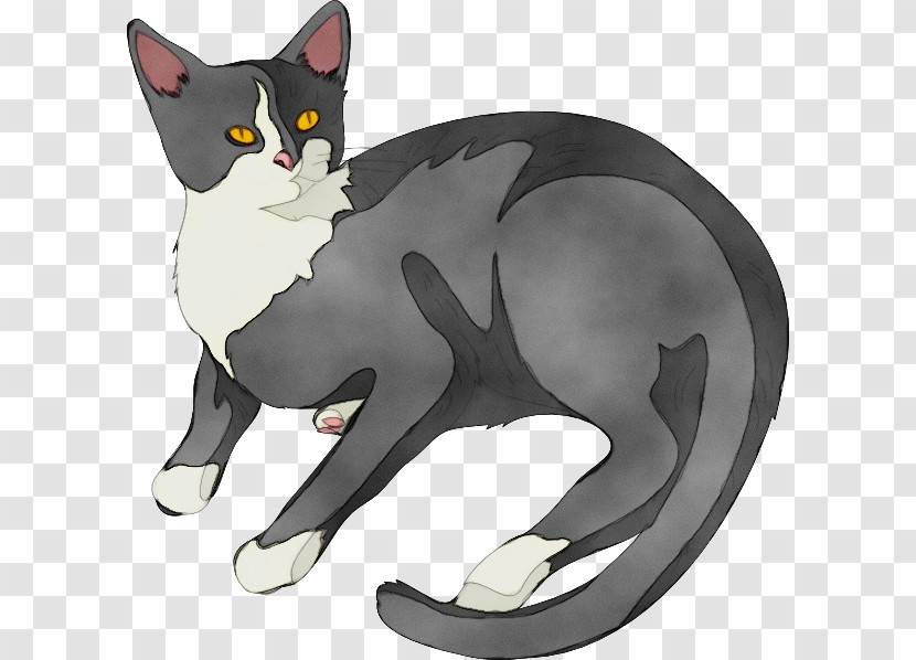 Whiskers Kitten Black Cat Manx Cat Burmese Cat Transparent PNG