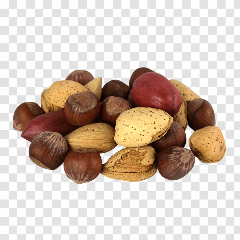 Hazelnut Praline Mixed Nuts Tree Nut Allergy Chocolate Transparent PNG