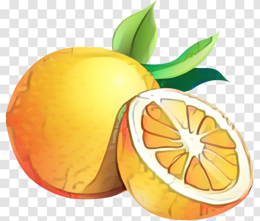 Lemon Leaf - Grapefruit - Calamondin Clementine Transparent PNG