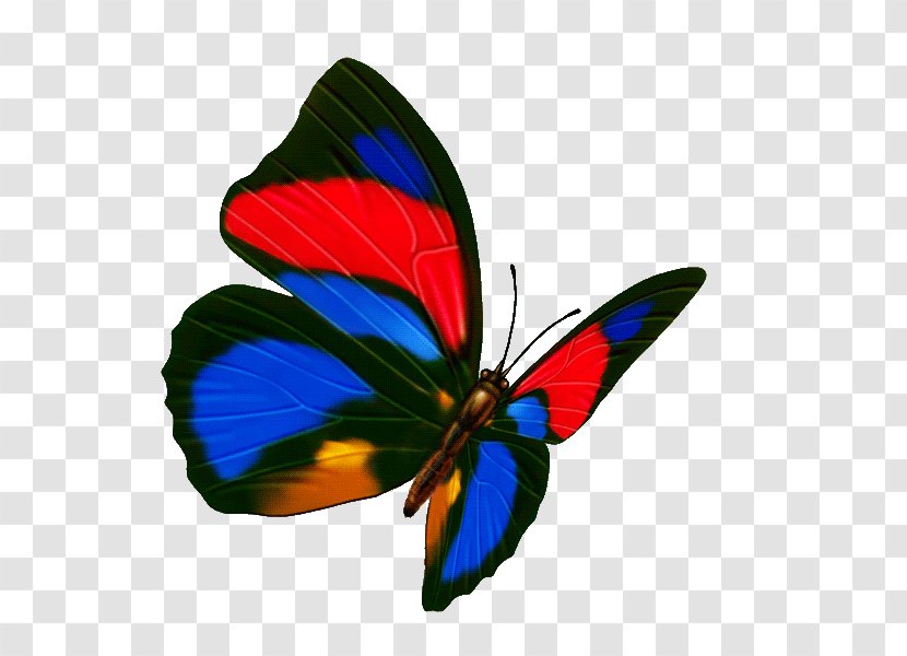 Butterfly Transparency And Translucency Icon - Brush Footed - Colorful Transparent PNG