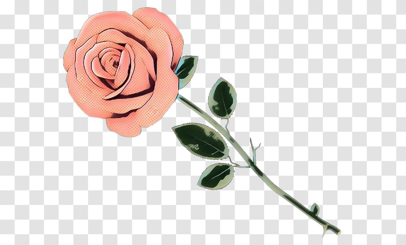 Garden Roses - Flower - Leaf Floribunda Transparent PNG