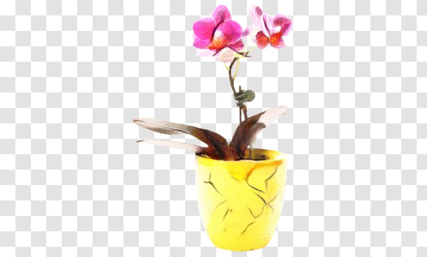 Flowers Background - Plant Stem - Artifact Dendrobium Transparent PNG