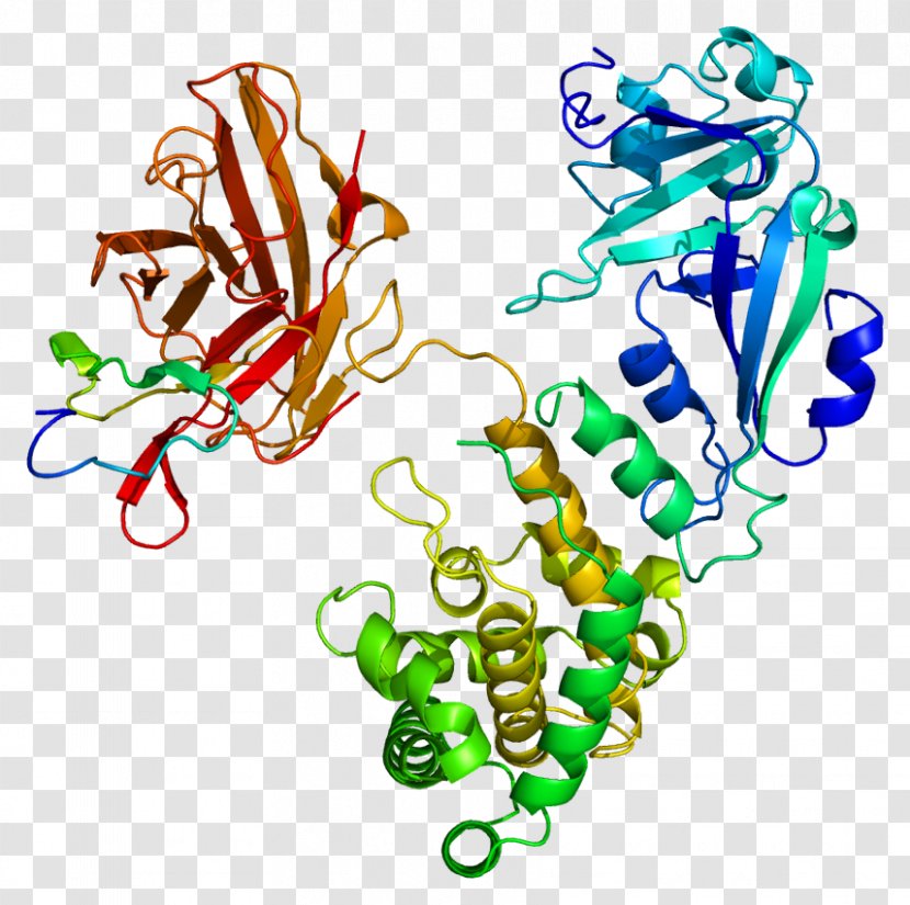 Epidermal Growth Factor Receptor Heparin-binding EGF-like Protein - Quaternary Structure - Plasma Transparent PNG