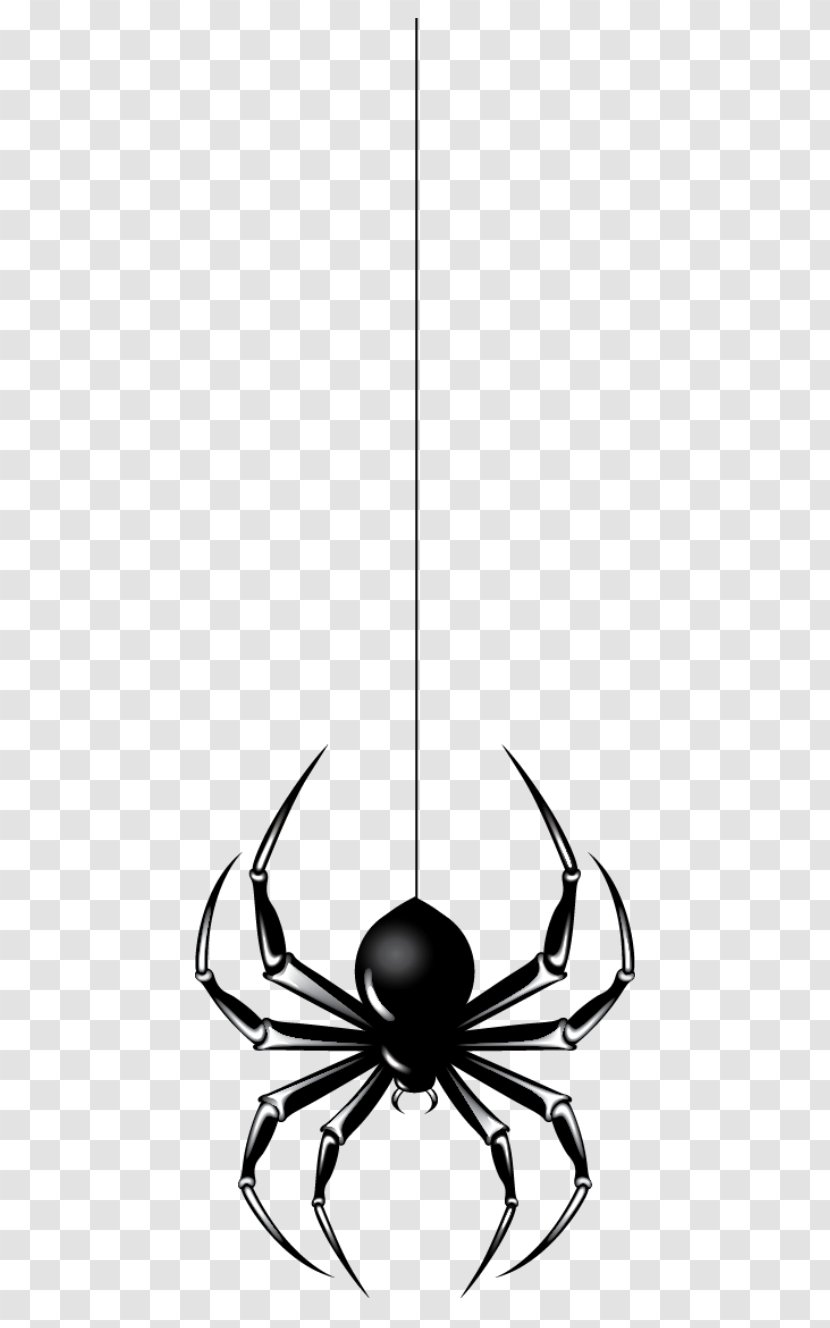 Spider Halloween Clip Art - Hanging Transparent PNG