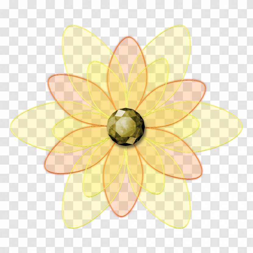 Floral Design Pattern Transparent PNG