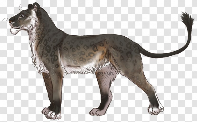 Dog Breed Irish Wolfhound Ibizan Hound Terrier Greyhound - Carnivoran Transparent PNG