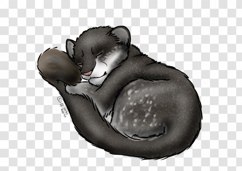 Cat Fur Paw Snout Transparent PNG