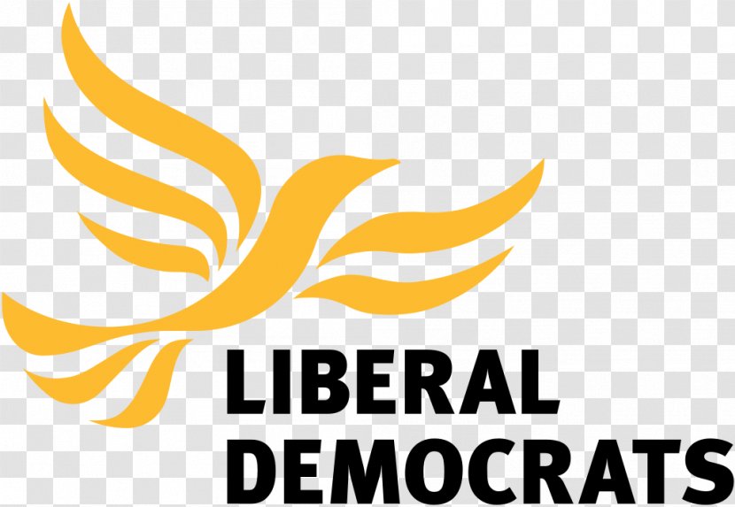 Welsh Liberal Democrats Liberalism United Kingdom Election - Area Transparent PNG