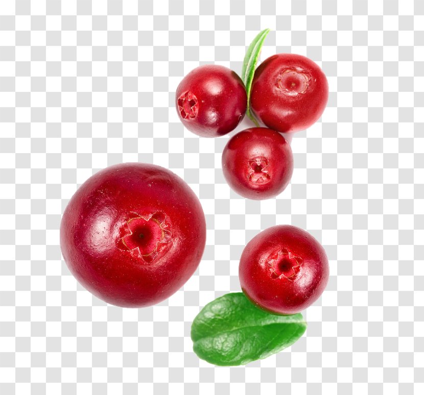 Smoothie Cranberry Juice Fruit - Berry - A Pomegranate Transparent PNG