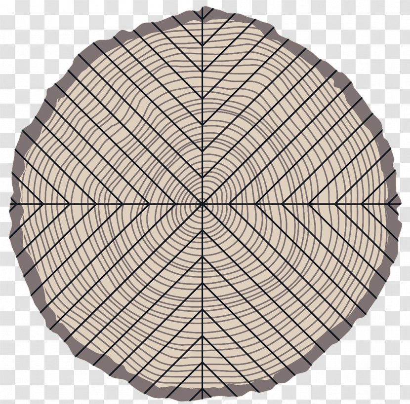 Protractor Compass Degree NW Cyber Camp Mathematics - Azimuth - Quarter Sawing Transparent PNG
