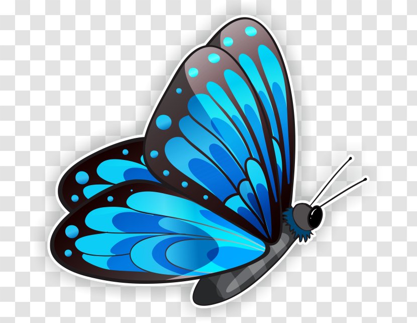 Butterfly Clip Art - Glasswing Transparent PNG