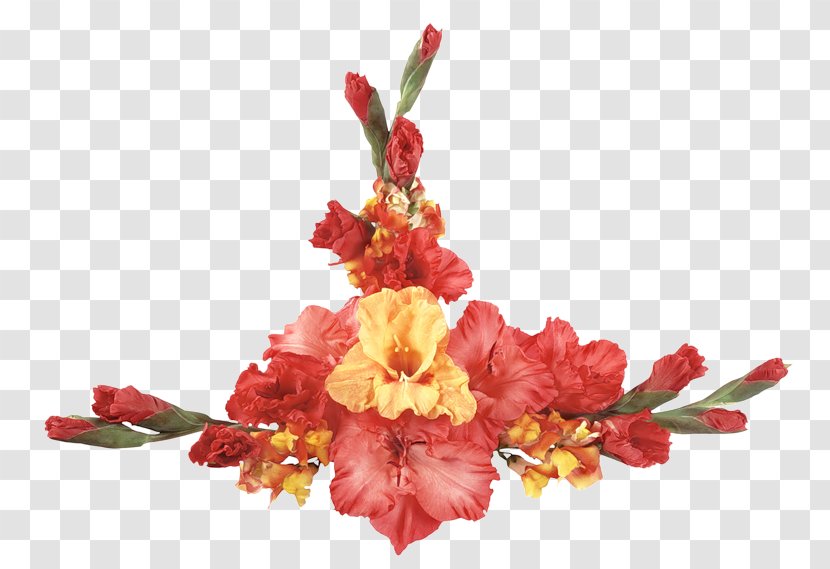 Desktop Wallpaper Gladiolus Flower Bouquet Photography Transparent PNG