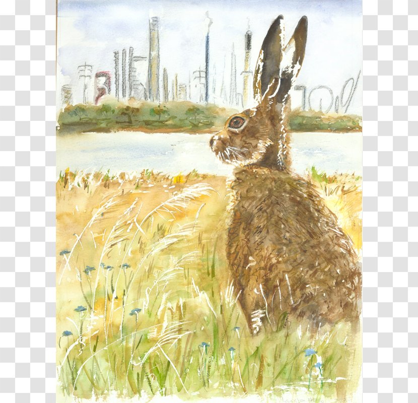 Hare Painting Fauna Wildlife Tail - Rabits And Hares Transparent PNG