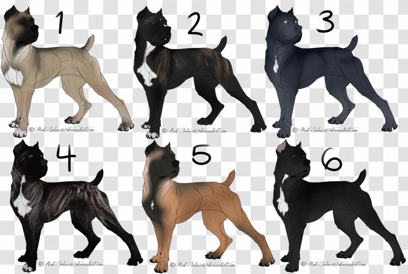Dog Breed Cane Corso American Pit Bull Terrier Dogo Argentino - Tail - Carnivoran Transparent PNG
