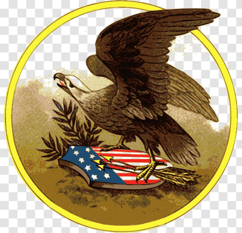 Bald Eagle Download Clip Art - Bird Of Prey - American Transparent PNG