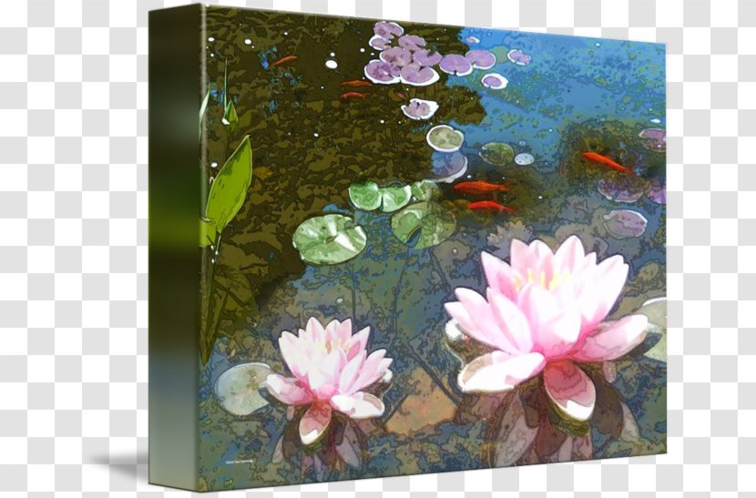 Aquatic Plants Pond Petal Flower Painting - Picture Frames Transparent PNG