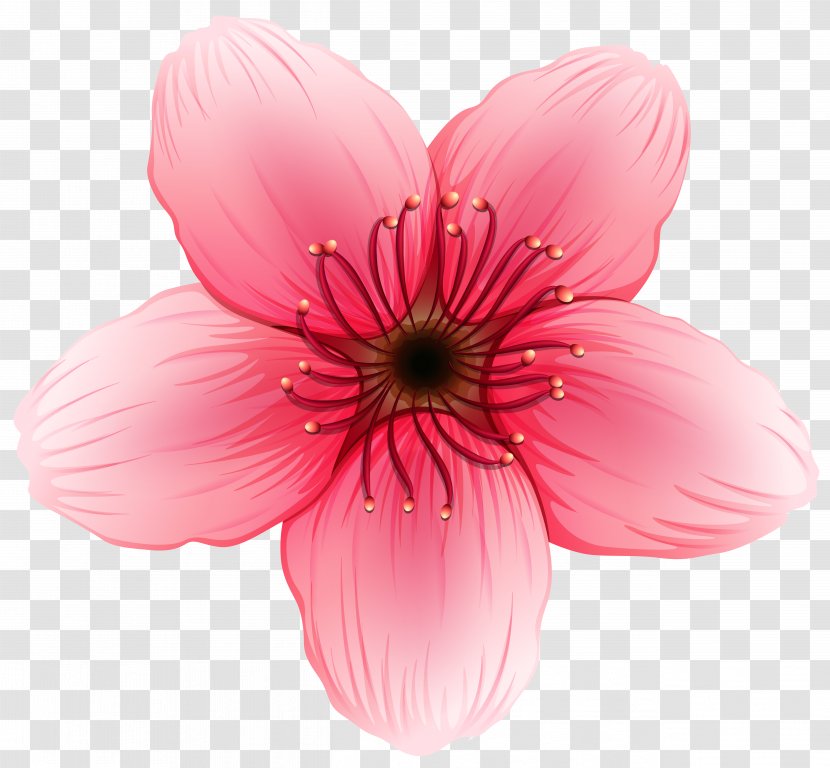 Flower Clip Art - Free - Clipart Image Transparent PNG