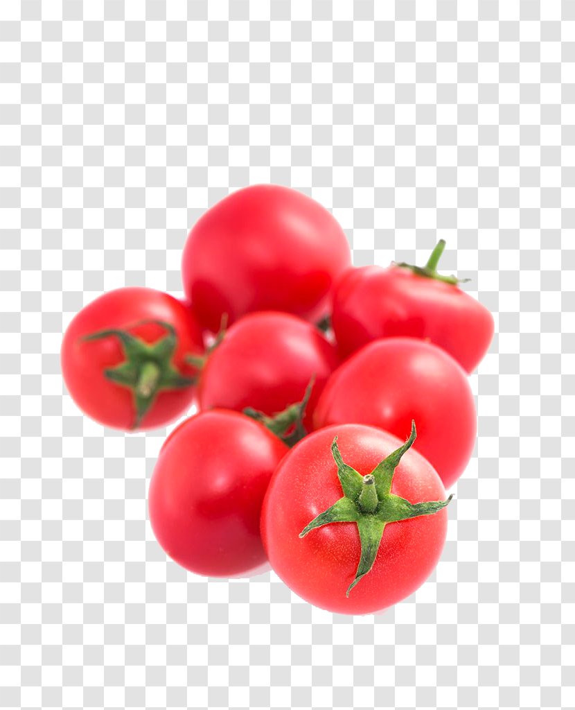 Cherry Tomato Plum Vegetable Bush - Gratis Transparent PNG