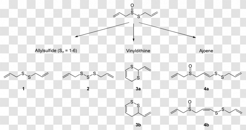 Triangle White Point Document Transparent PNG