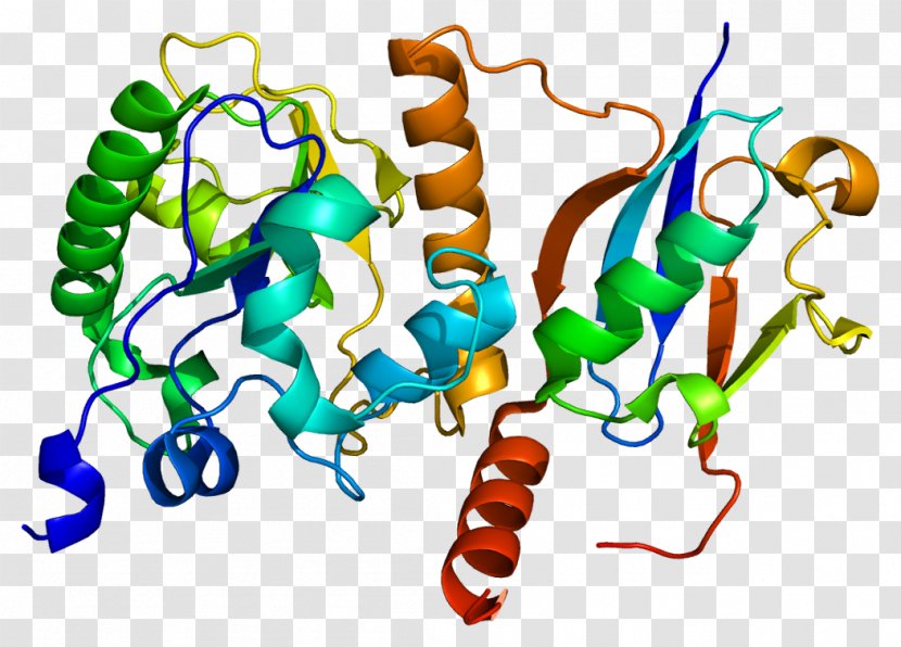 Thymine-DNA Glycosylase BRCA2 - Dna - Thymine Transparent PNG