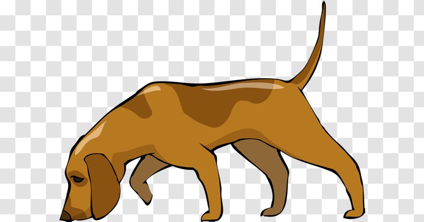 Bloodhound Basset Hound Greyhound Afghan - Mammal - Snout Transparent PNG