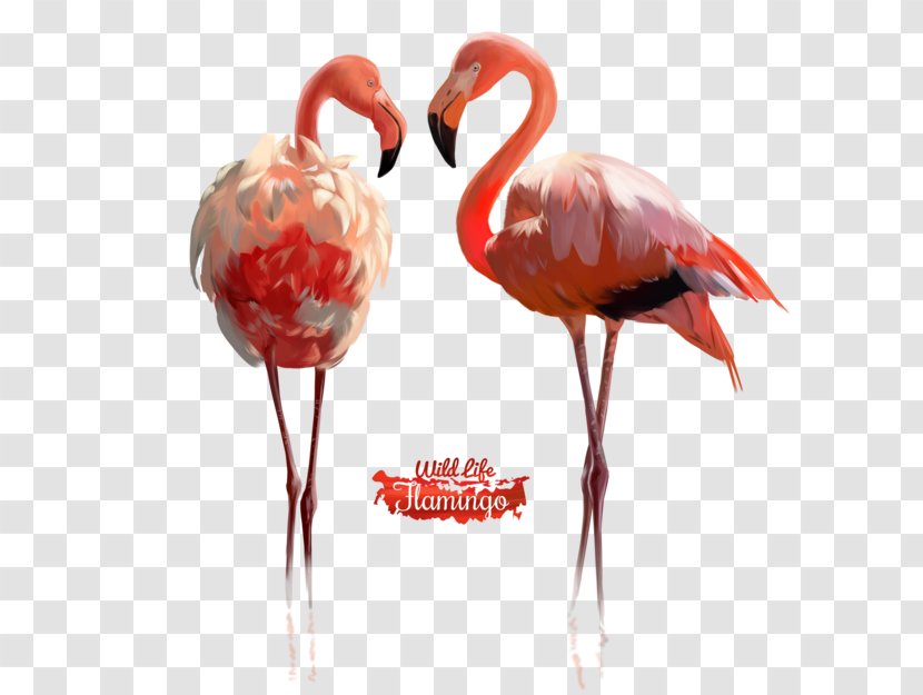 Watercolor Painting Royalty-free Drawing - Flamingos Transparent PNG
