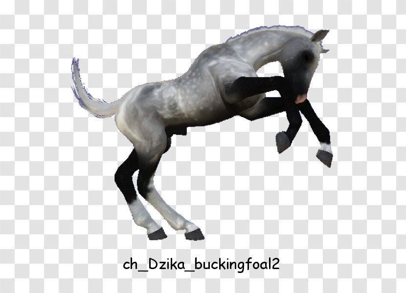 Mane Stallion Mare Mustang Halter - Colt - Bucking Horse Transparent PNG