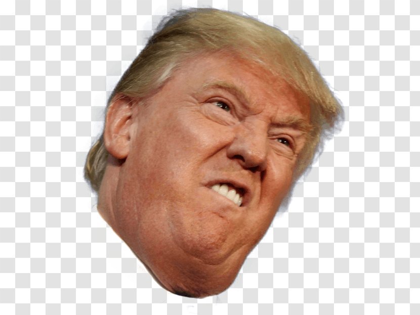 Presidency Of Donald Trump United States Funny Face - Forehead Transparent PNG