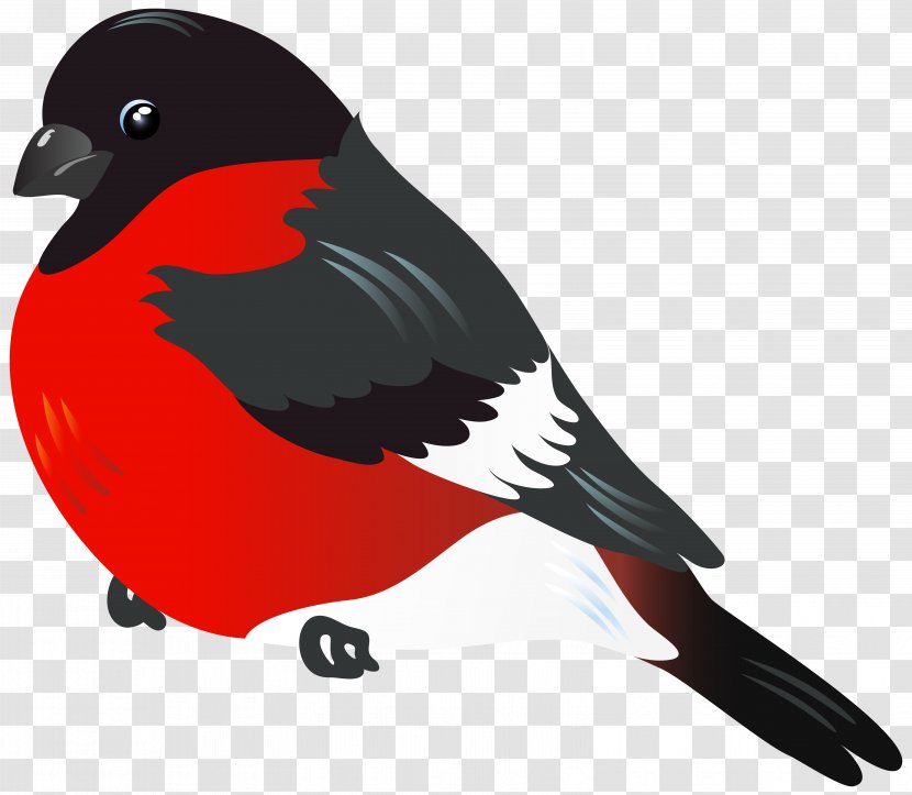Clip Art - Lovebird - Red Bird Clipart Image Transparent PNG