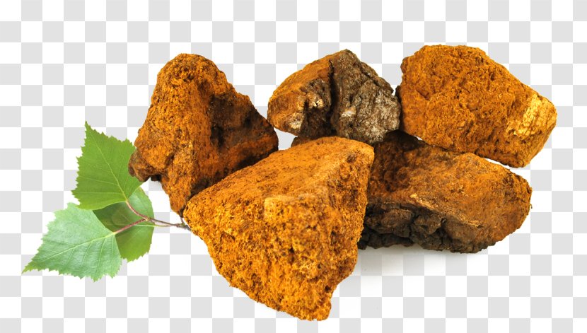 Chaga Mushroom Tea Fungus Medicinal Fungi Superfood - Biological Activity Transparent PNG