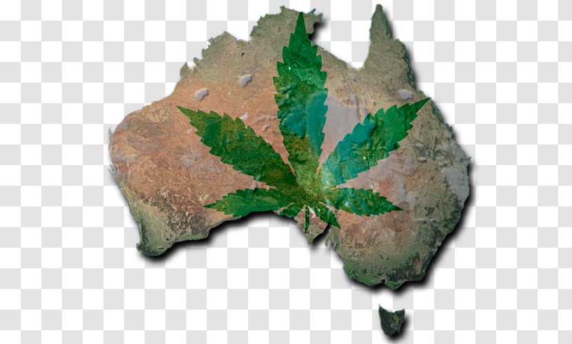Medical Cannabis Norfolk Island World Map Flag Of Australia - Blank Transparent PNG
