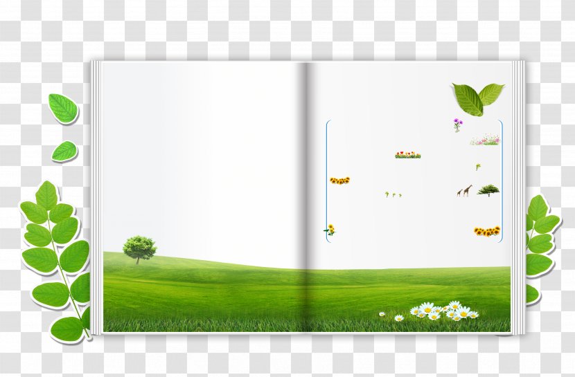 Book - Flower - Green Transparent PNG