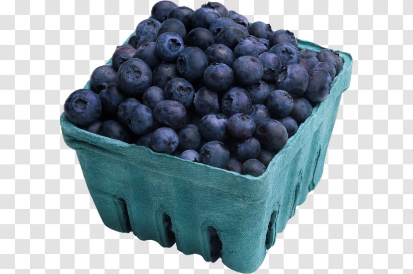 Bilberry Blueberry Cassis Food Transparent PNG