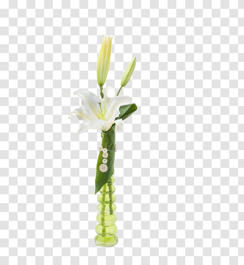 Vase The Flower Nook Floristry Cut Flowers Bouquet - Lily Transparent PNG