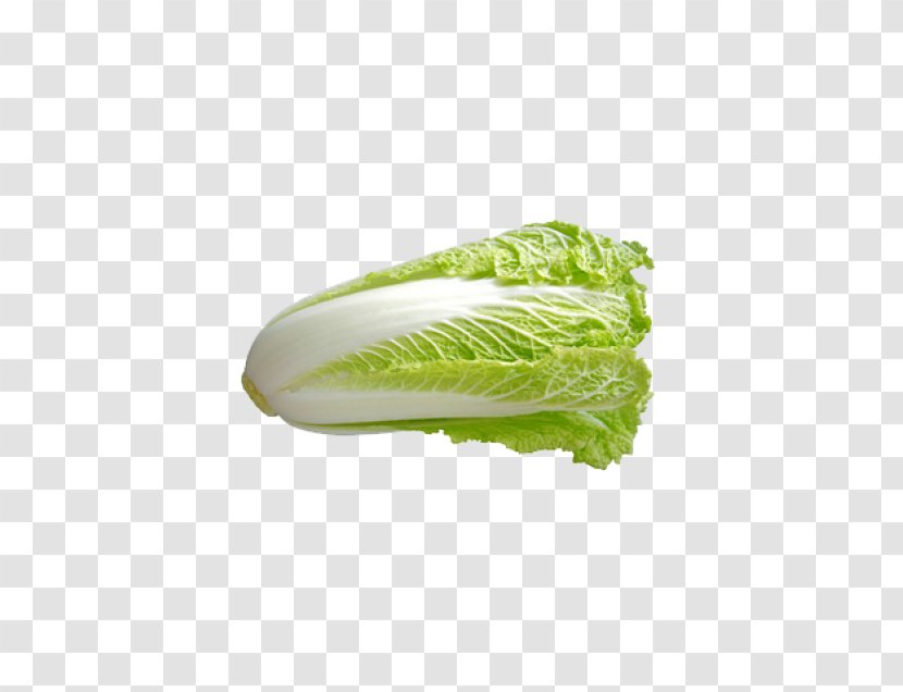 Chinese Cuisine Capitata Group Cabbage Napa Vegetable - Coriander Transparent PNG