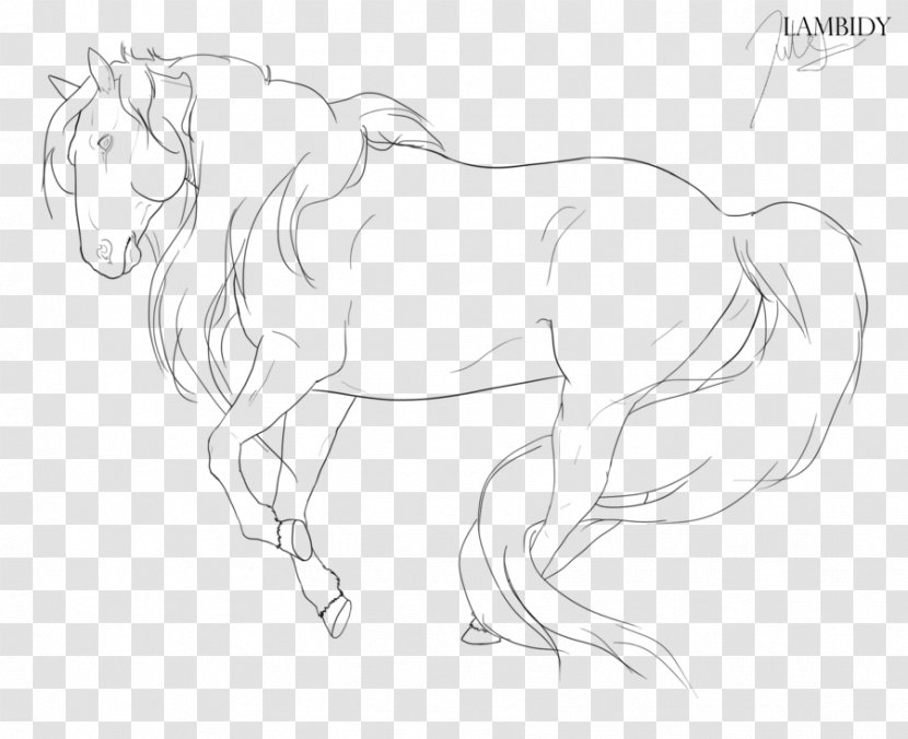 Line Art American Miniature Horse Pony Drawing Stallion - Hairy Transparent PNG