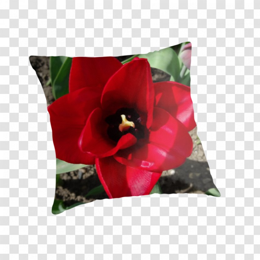 Throw Pillows Flowering Plant Cushion - Rose Family - Tulip Material Transparent PNG