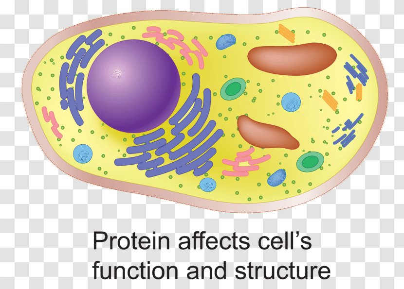 Organism - Yellow - Design Transparent PNG