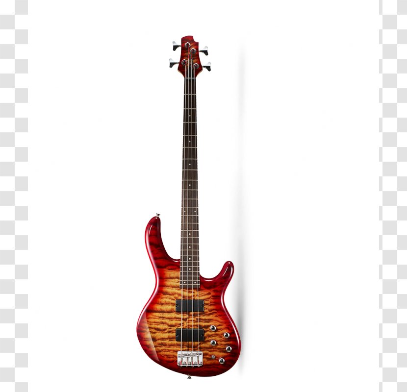 Fender Stratocaster Bass Guitar Electric ESP Guitars - Watercolor - Birch Transparent PNG