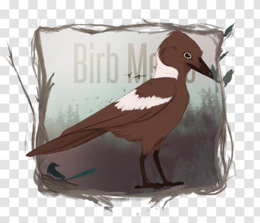 Bird Goose Drawing Beak Art - Cartoon Transparent PNG