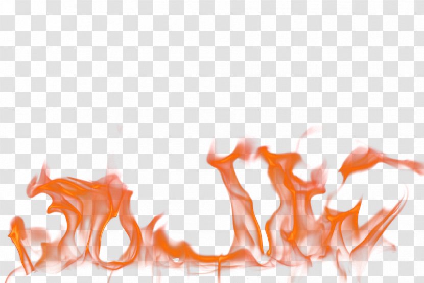 Flame Fire Combustion - Joint - Burning Flames Transparent PNG