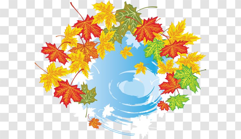 Maple Leaf Autumn Leaves Clip Art Graphics - Flower Transparent PNG