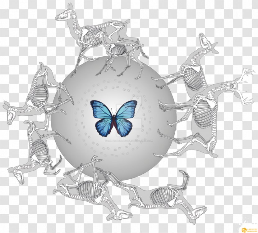Butterfly - Mythical Creature Transparent PNG