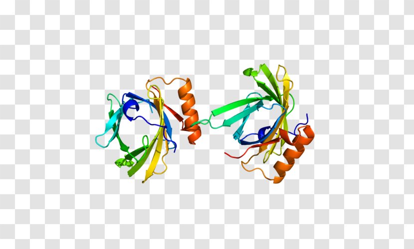 Prostaglandin D2 Synthase Prostaglandin-D H2 - Flower Transparent PNG