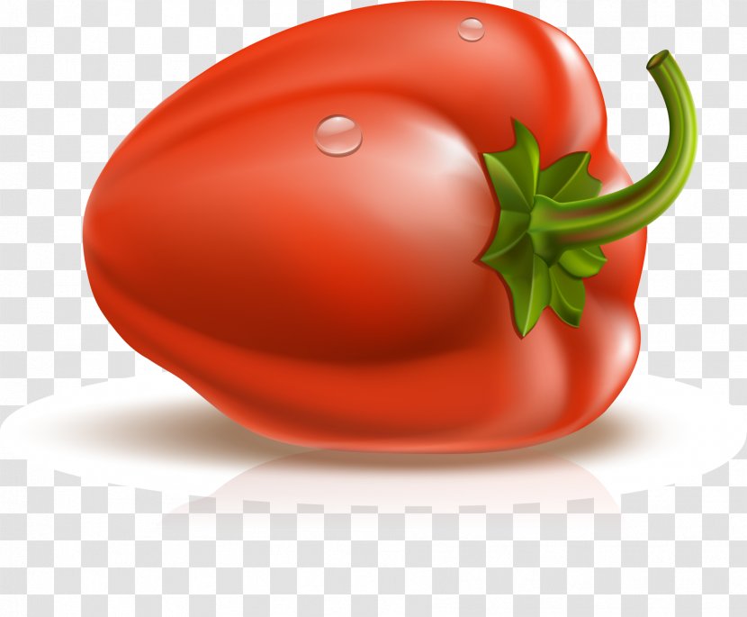 Bell Pepper Euclidean Vector Chili - Local Food - Space Transparent PNG