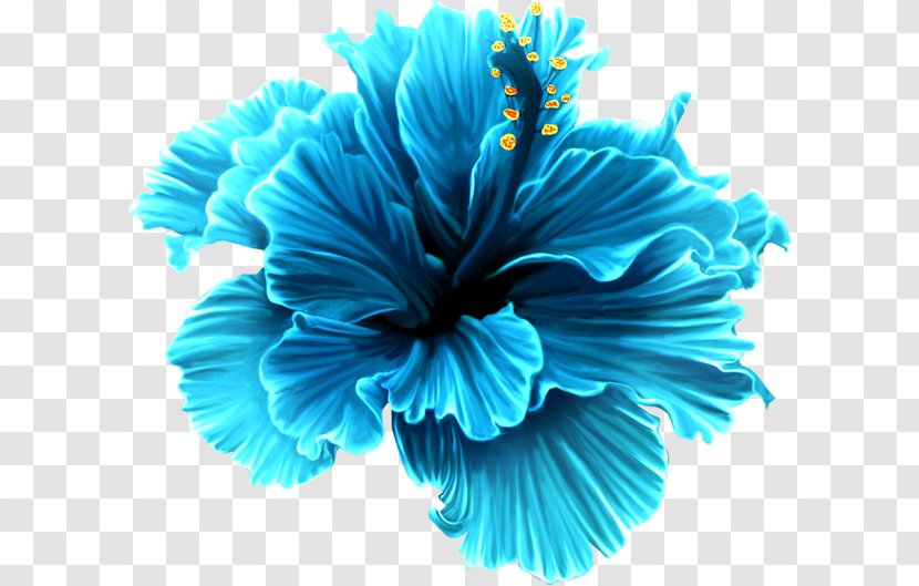 Flower Rose Clip Art - Electric Blue - Floral Transparent PNG