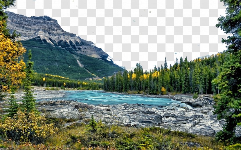 Mount Edith Cavell Jasper Athabasca River Banff Glacier - Landscape - Alberta, Canada Eighteen Transparent PNG