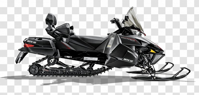 Arctic Cat Snowmobile Willson's Sport & Marine Motorcycle Side By - Motor Vehicle Transparent PNG