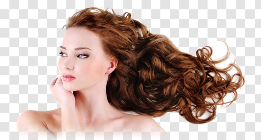 Beauty Parlour Barber Cosmetologist Cosmetics Hairstyle - Silhouette - Shampoo Transparent PNG