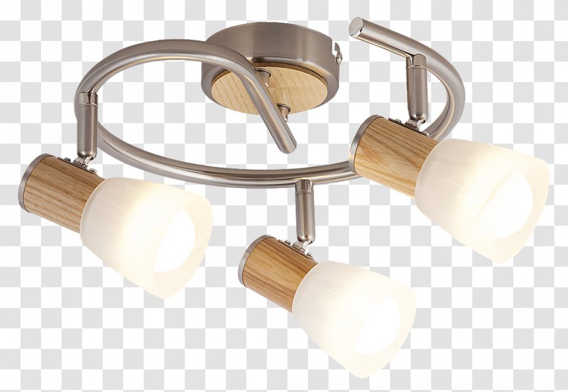 Incandescent Light Bulb Edison Screw Fixture Lantern - Energy Conservation Transparent PNG